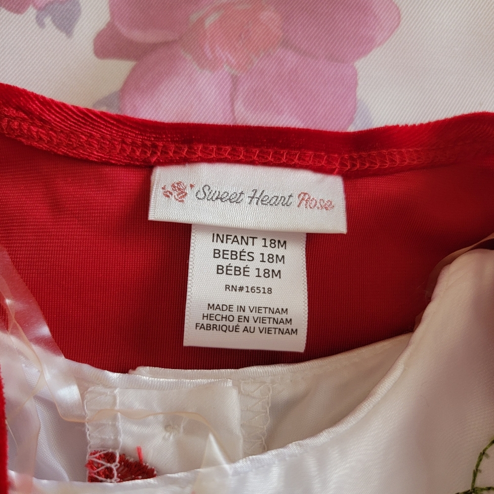 Infant Formal Dress - Picture 4 of 16